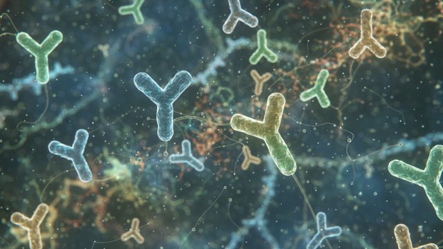 Monoclonal Antibodies illustration